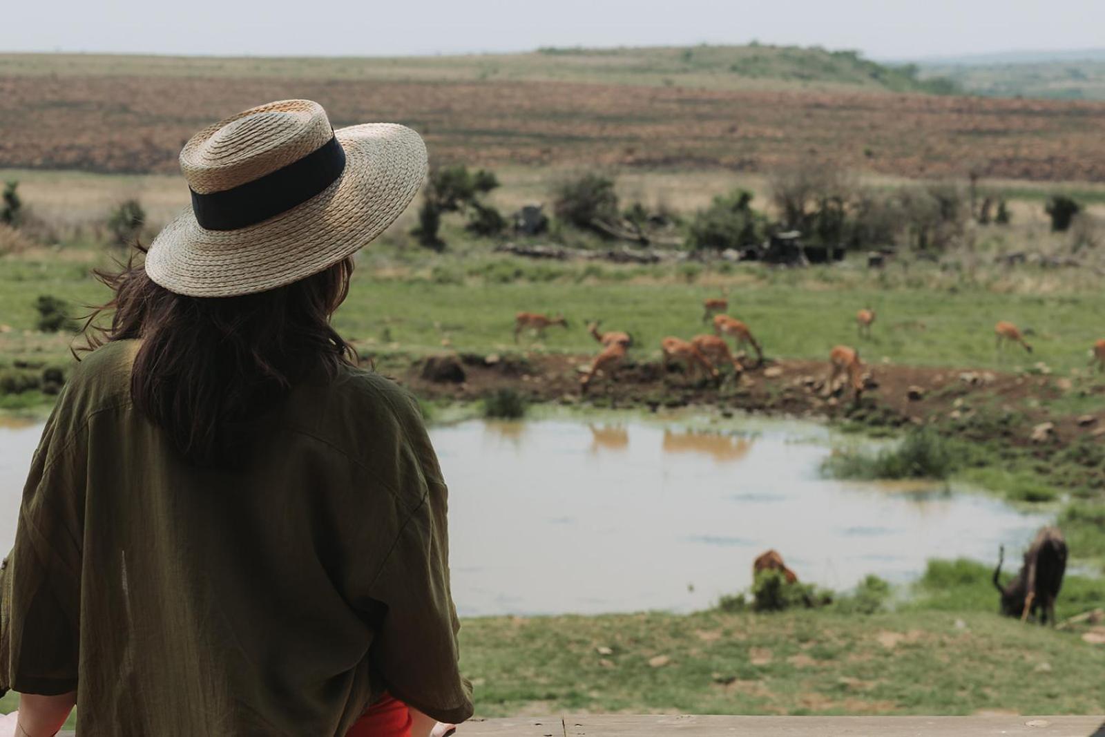 ליידיסמית Nambiti Plains Lodge מראה חיצוני תמונה