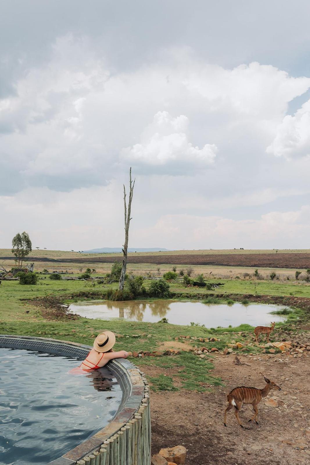ליידיסמית Nambiti Plains Lodge מראה חיצוני תמונה