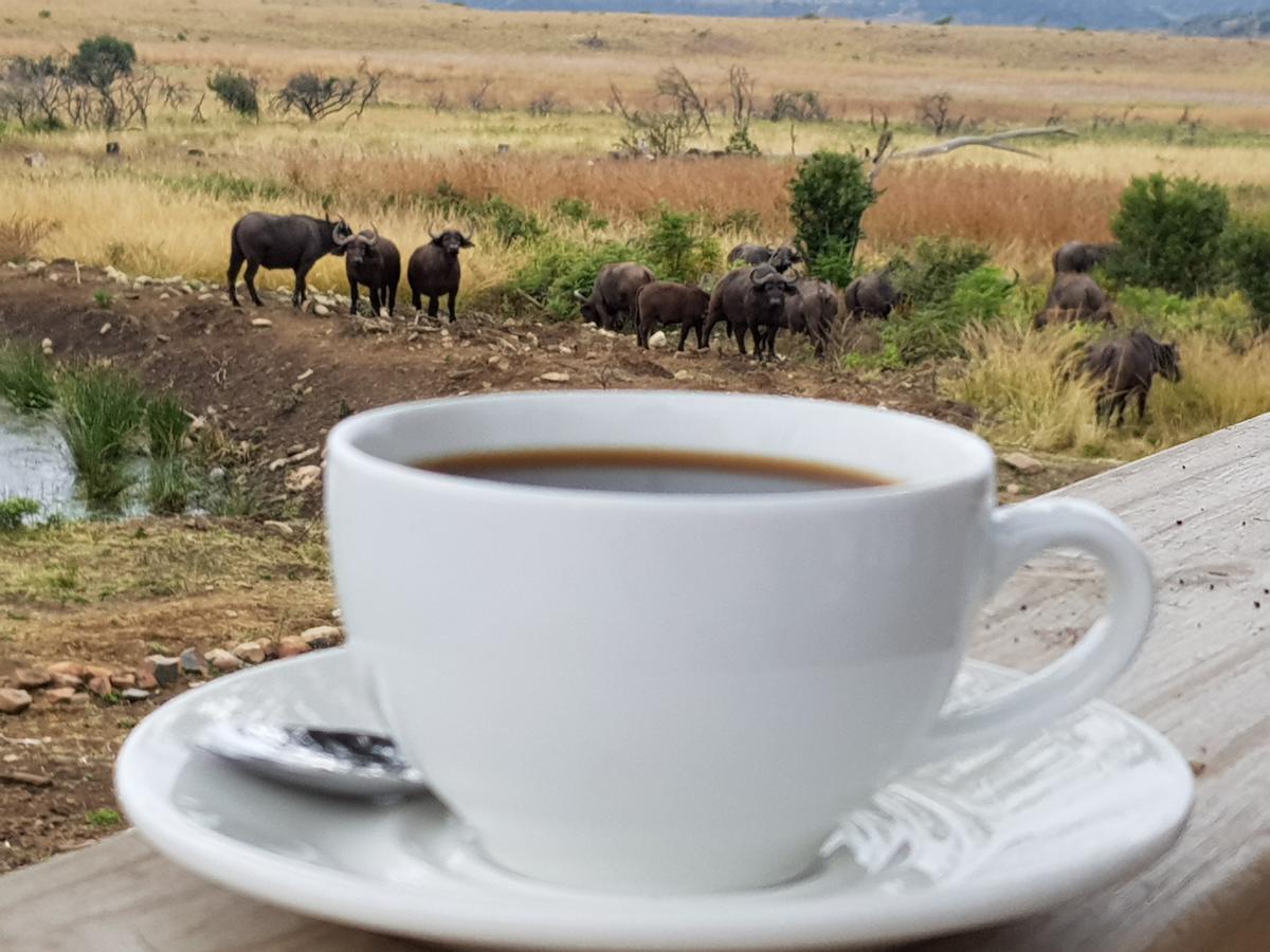 ליידיסמית Nambiti Plains Lodge מראה חיצוני תמונה