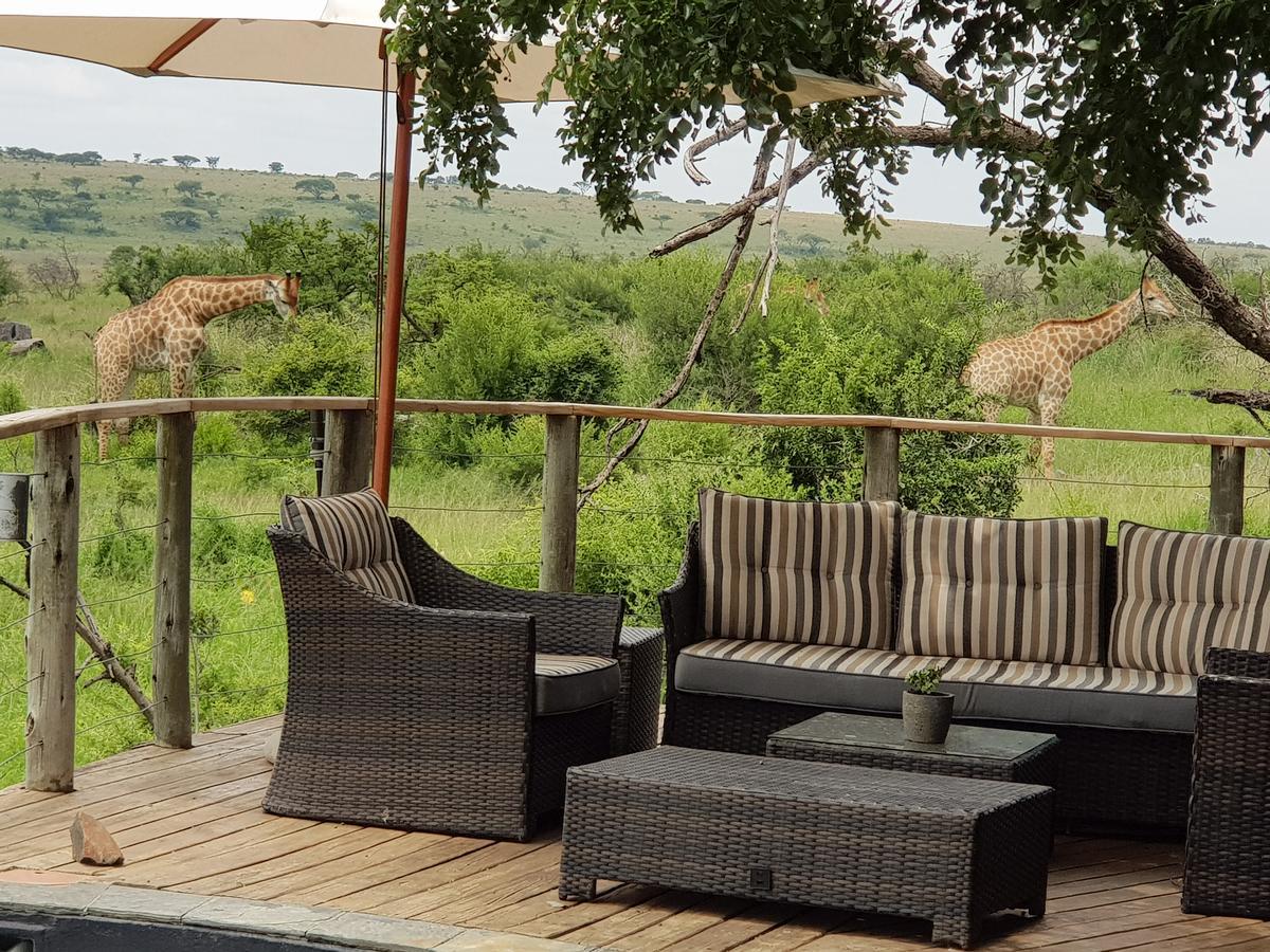 ליידיסמית Nambiti Plains Lodge מראה חיצוני תמונה